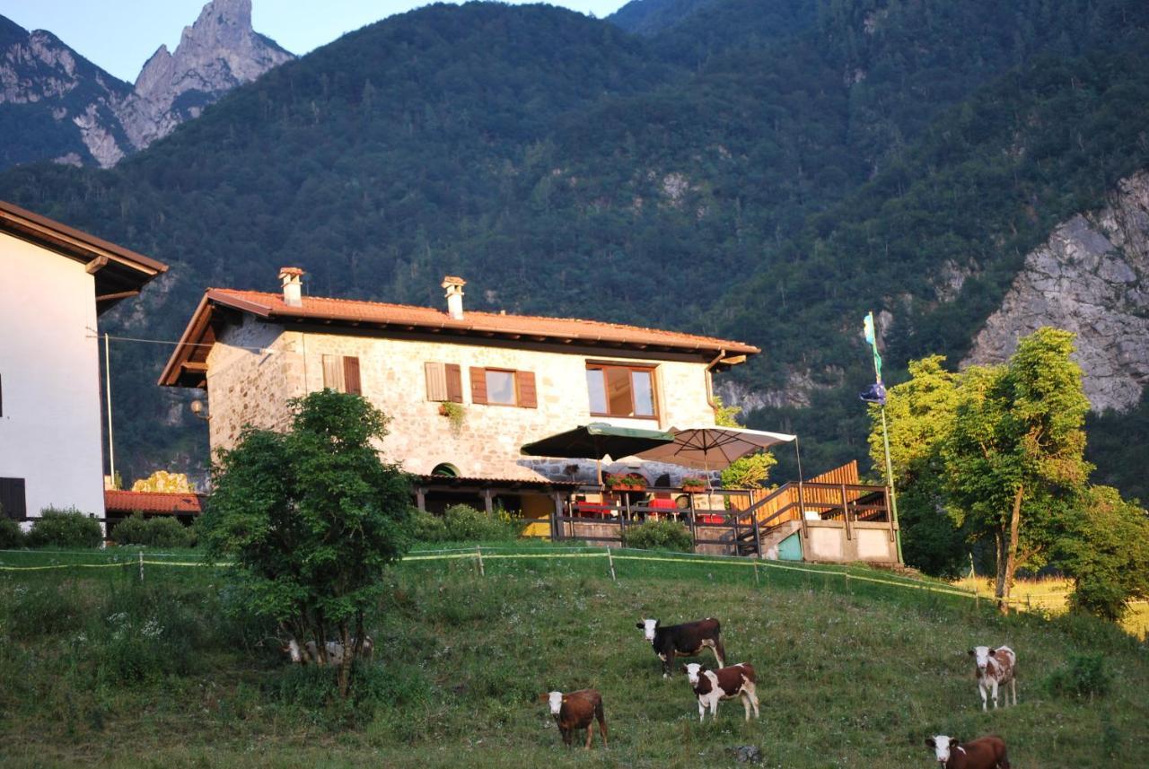 Caprizi Rifugio Malga Grasia מראה חיצוני תמונה