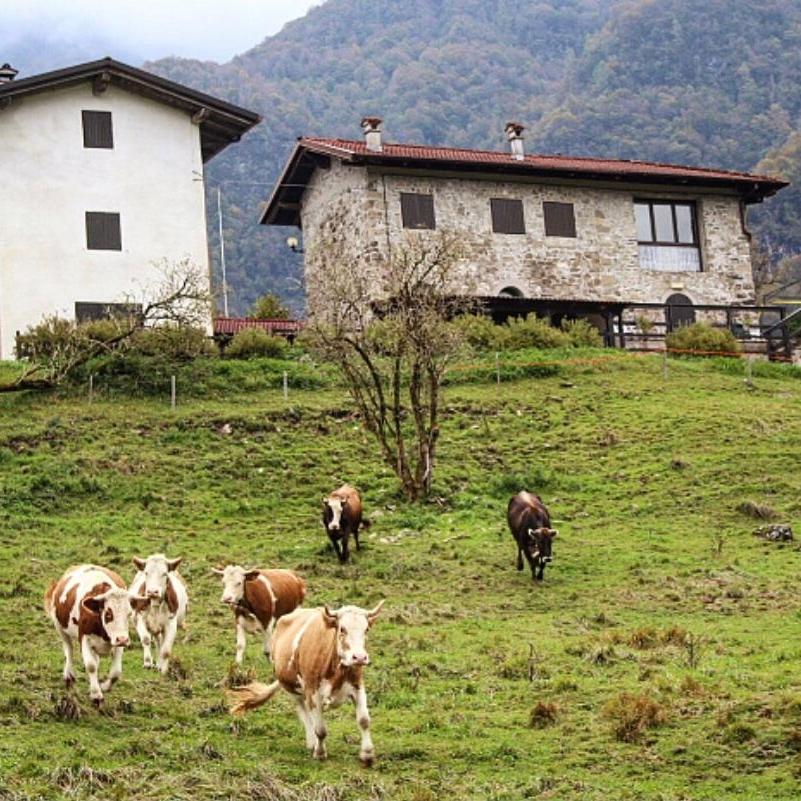 Caprizi Rifugio Malga Grasia מראה חיצוני תמונה